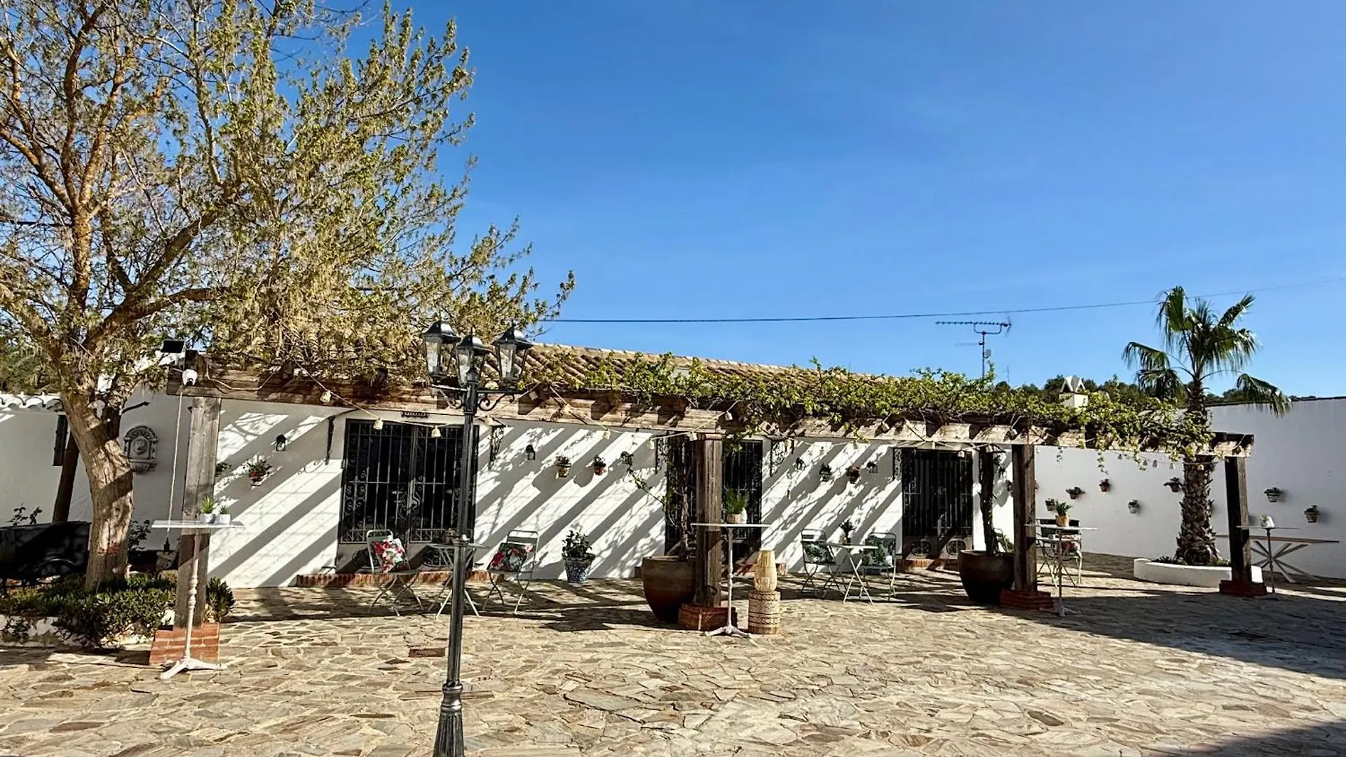 New! Your Ultimate Luxury Finca With 11Br, Pool, Jacuzzi, Gym And Sauna Just 30 Minutes From Malaga! Villanueva del Rosario Spain